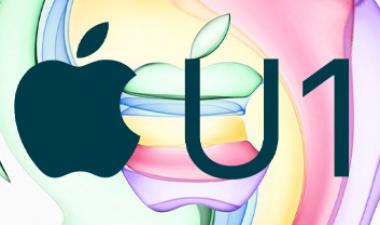 Apple U1 -芯片去层化及其可能性